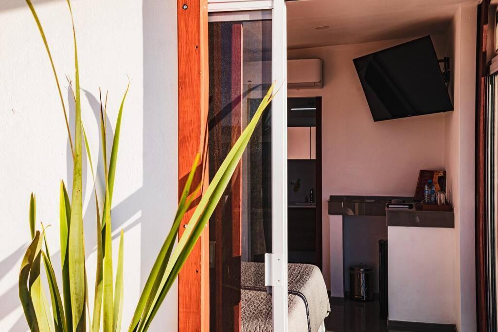 Cabana El Alamo Con Jacuzzi Villa Valle de Guadalupe Exteriör bild
